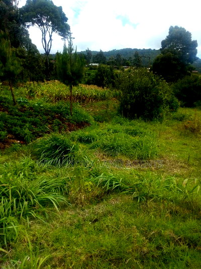 2 Acres on Sale at Kimende Kiambu - Image 4
