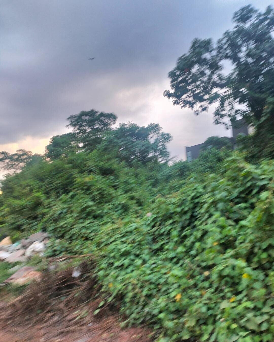 1/2 Acre Redhill Plot at KSh 65M