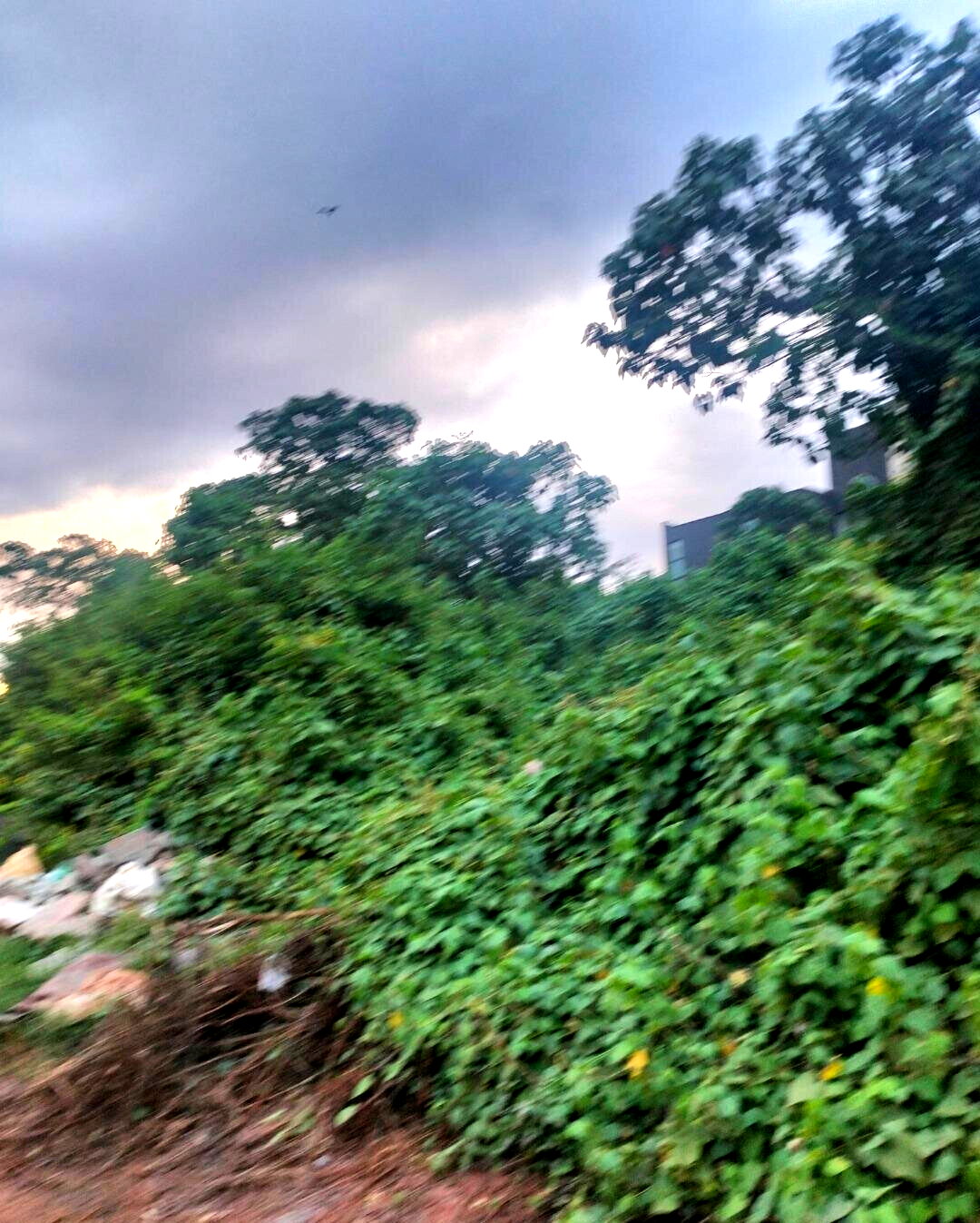 1/2 Acre Redhill Plot at KSh 65M