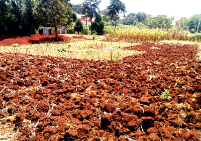 Half Acre Plot at KSh 45M