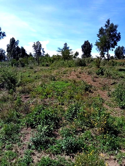 Plot on Sale at Naivasha Mwishiringiri - Image 2