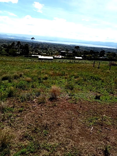 Plot on Sale at Naivasha Mwishiringiri - Image 6