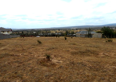 Quarter Acre Plot with Garden