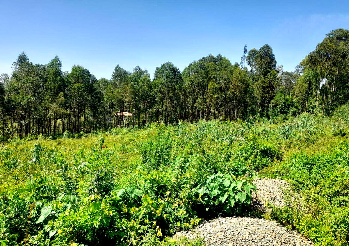 KSh 2.7M Plot in Riat