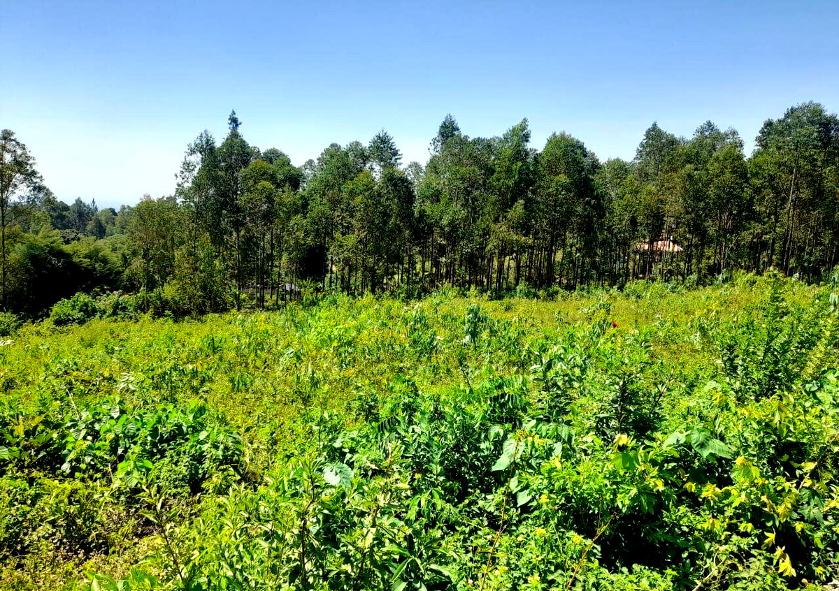 KSh 2.7M Plot in Riat