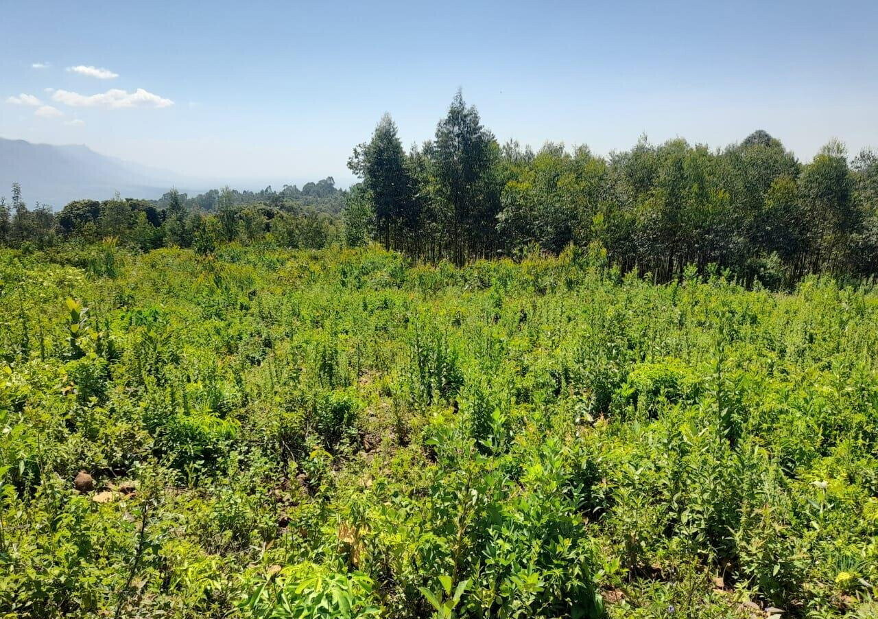 KSh 2.7M Plot in Riat