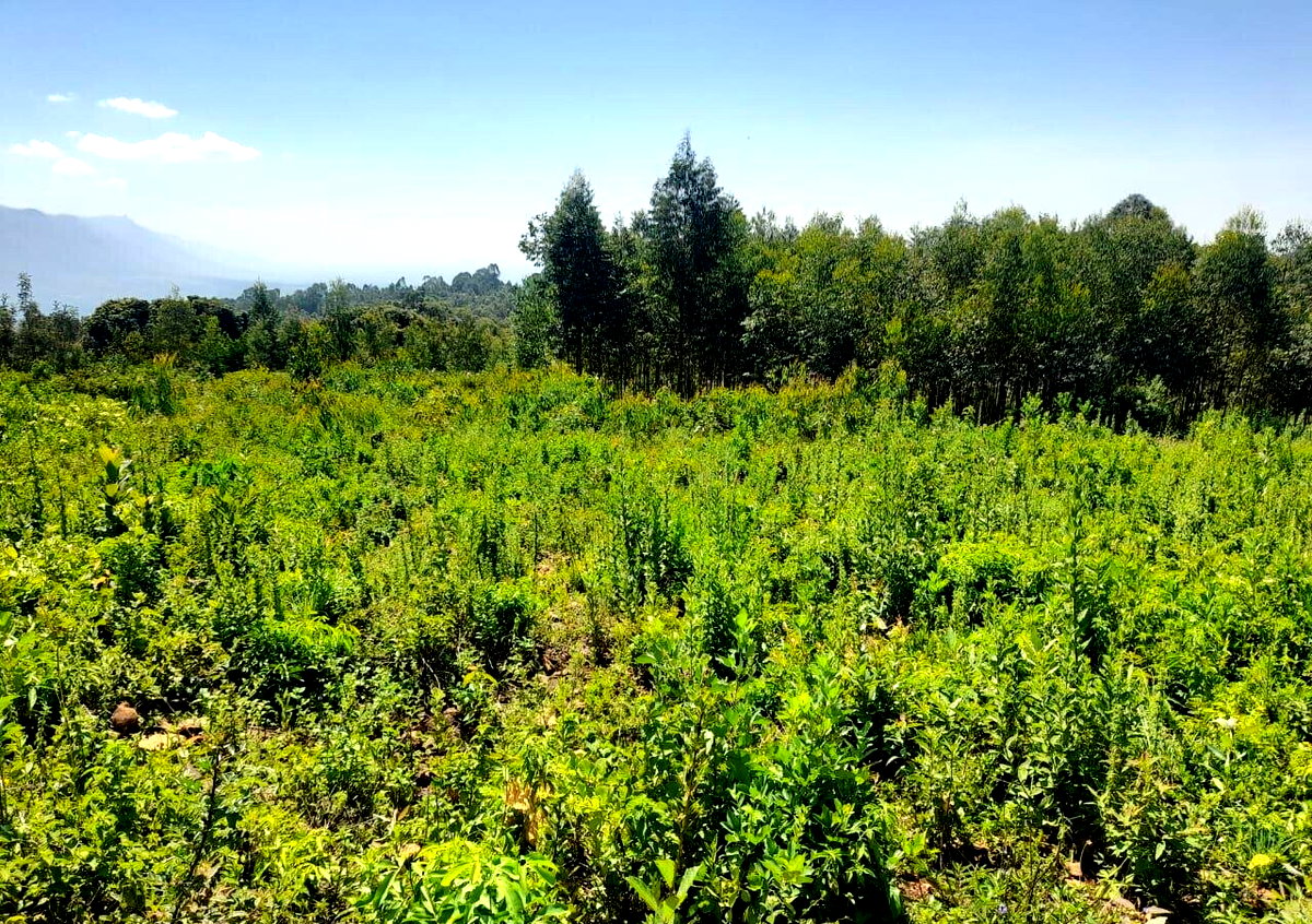 KSh 2.7M Plot in Riat