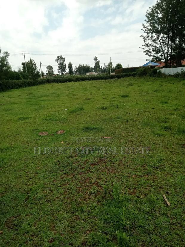 1/4 Touching Feeder Tarmac Blossom Ideal for Home