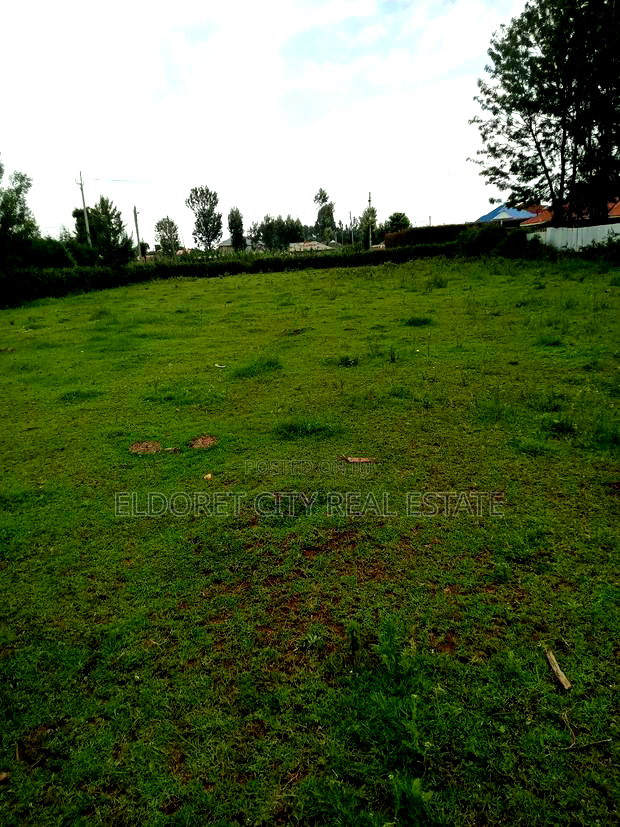 1/4 Touching Feeder Tarmac Blossom Ideal for Home