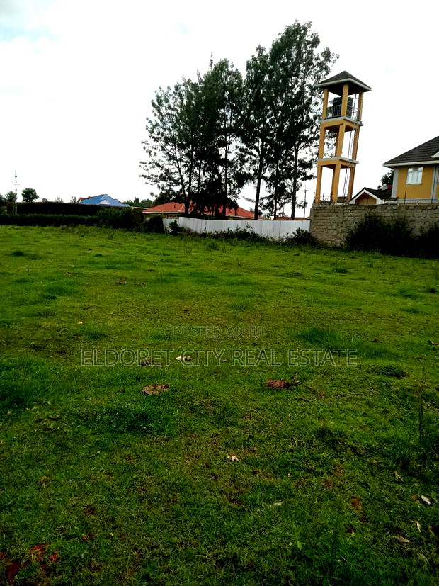 1/4 Touching Feeder Tarmac Blossom Ideal for Home