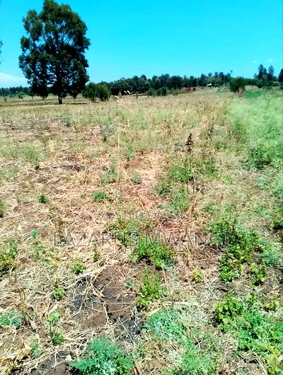 4 Acres of Scheme Land at Makima Location Embu Mwea - Image 3