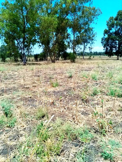 4 Acres of Scheme Land at Makima Location Embu Mwea - Image 4