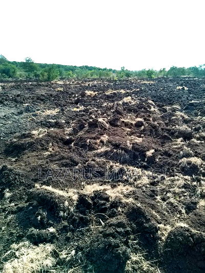 4 Acres of Scheme Land at Makima Location Embu Mwea - Image 5