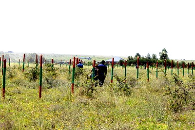 Residential Kamulu Plots for Sale With Discount Today! - Image 2