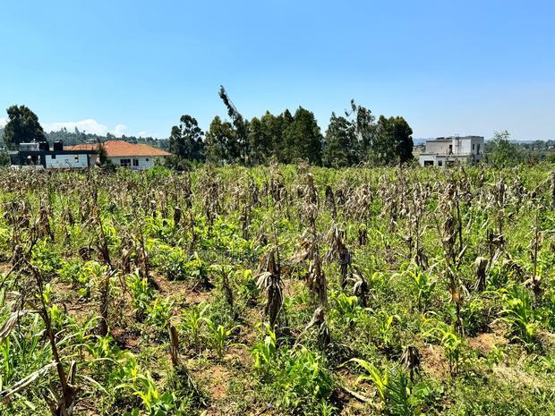 Prime Residential Plot for Sale in Kikuyu,Kamangu