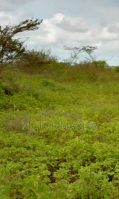 6 Acres for Sale Behind Kenchick Brooder Farm - Image 1