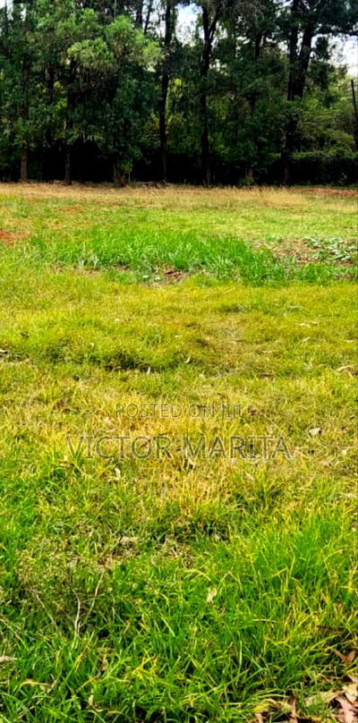 6 Acres for Sale Behind Kenchick Brooder Farm - Image 2