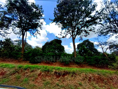 546 Acres Coffee Farm on Sale at Ruiru Kiambu County at 20M - Image 2