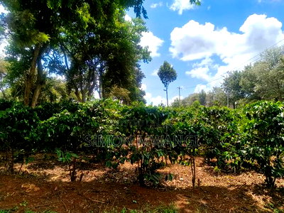 546 Acres Coffee Farm on Sale at Ruiru Kiambu County at 20M - Image 3