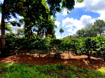 546 Acres Coffee Farm on Sale at Ruiru Kiambu County at 20M - Image 1