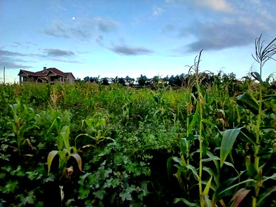 Prime 100 by 100 Plot in Upper Matasia Gated Neighborhood - Image 1