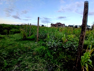 Prime 100 by 100 Plot in Upper Matasia Gated Neighborhood - Image 3