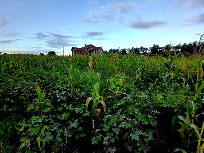 Prime 100 by 100 Plot in Upper Matasia Gated Neighborhood - Image 2