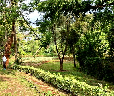 0.75-Acre Plot with Parking at KSh 120M