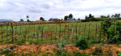 Prime Commercial 1/4 Plot for Sale in Chepkoilel Eldoret - Image 5