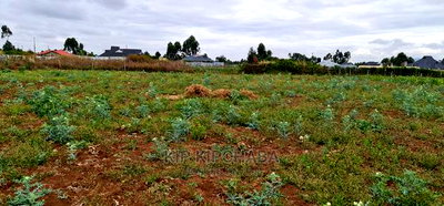 Prime Commercial 1/4 Plot for Sale in Chepkoilel Eldoret - Image 8