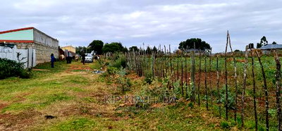 Prime Commercial 1/4 Plot for Sale in Chepkoilel Eldoret - Image 10