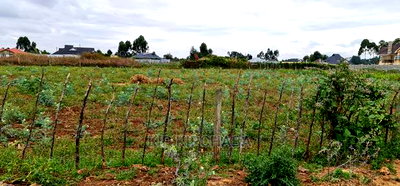 Prime Commercial 1/4 Plot for Sale in Chepkoilel Eldoret - Image 2