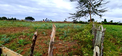 Prime Commercial 1/4 Plot for Sale in Chepkoilel Eldoret - Image 4