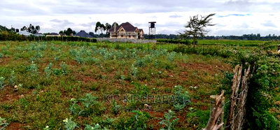 Prime Commercial 1/4 Plot for Sale in Chepkoilel Eldoret - Image 11