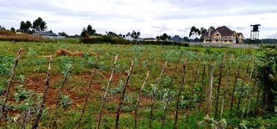 Prime Commercial 1/4 Plot for Sale in Chepkoilel Eldoret - Image 1