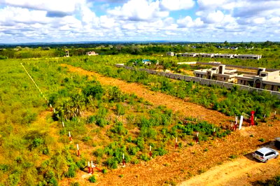 Diani Beach 3rd Row 50*100 Plots for Sale - Image 3