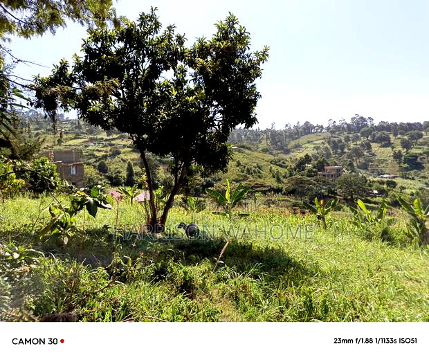 50*100 Plots for Sale in Ngong, Turbine Road.
