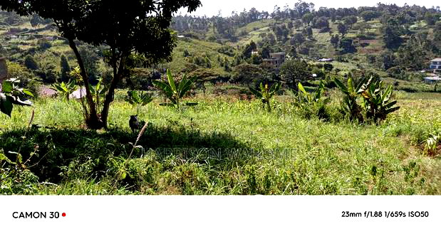 50*100 Plots for Sale in Ngong, Turbine Road.
