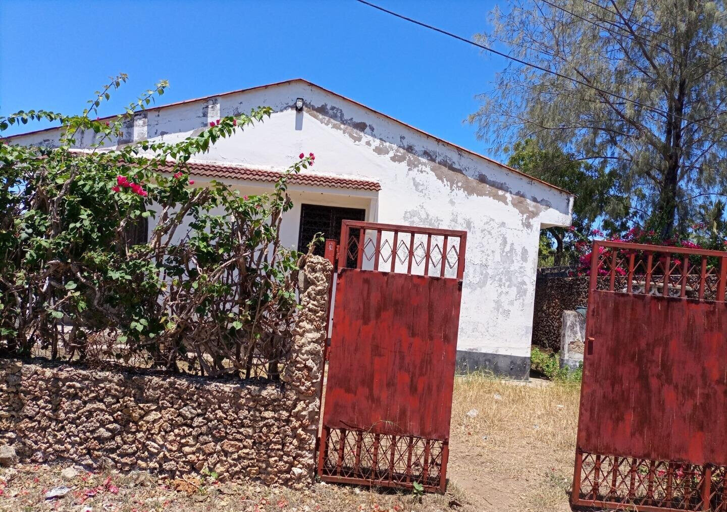 1/2 Acre Plot with 2BR Bungalow - KSh 25M