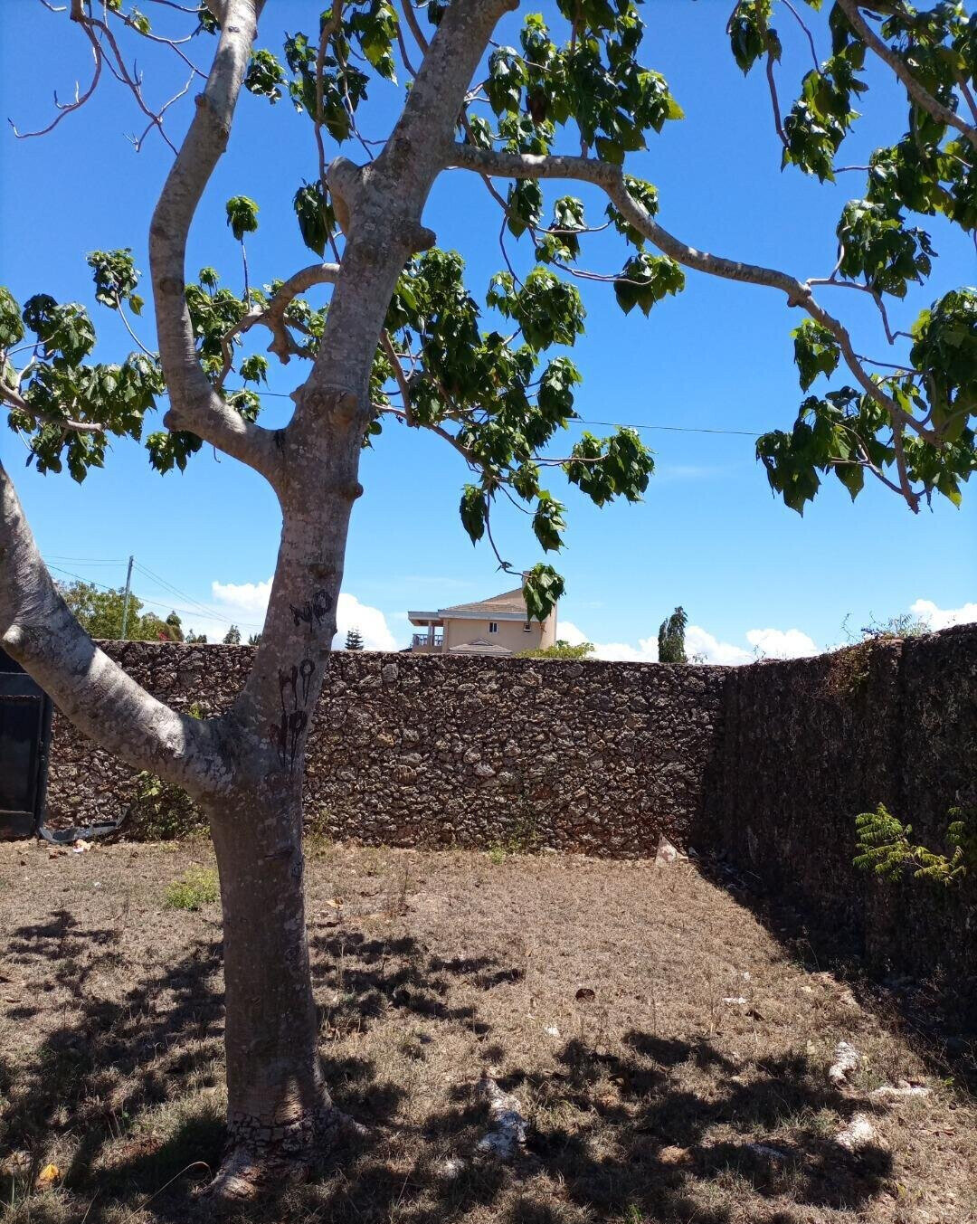1/2 Acre Plot with 2BR Bungalow - KSh 25M