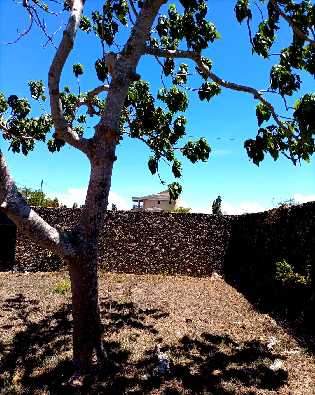 1/2 Acre Plot with 2BR Bungalow - KSh 25M