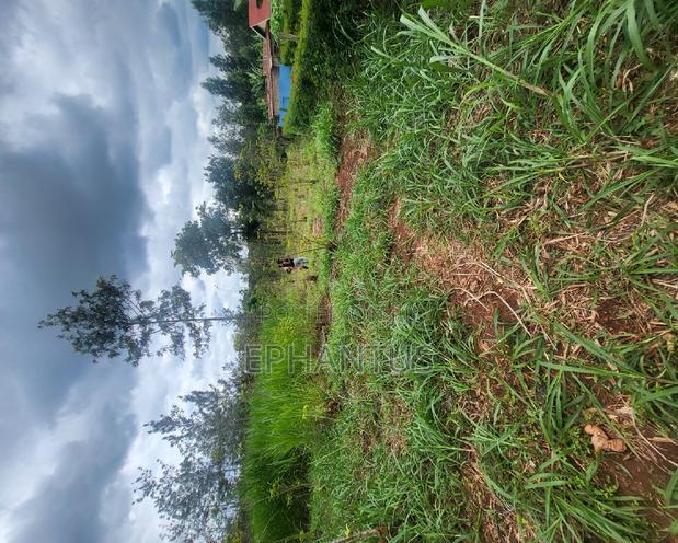 50 by 100 Plot in Kimunyu-Kenyatta Road