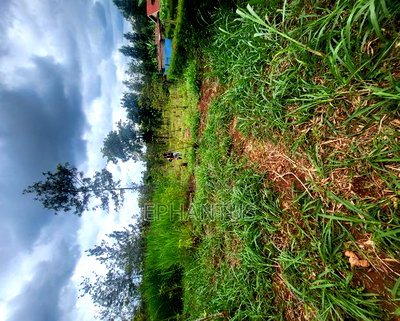 50 by 100 Plot in Kimunyu-Kenyatta Road - Image 2