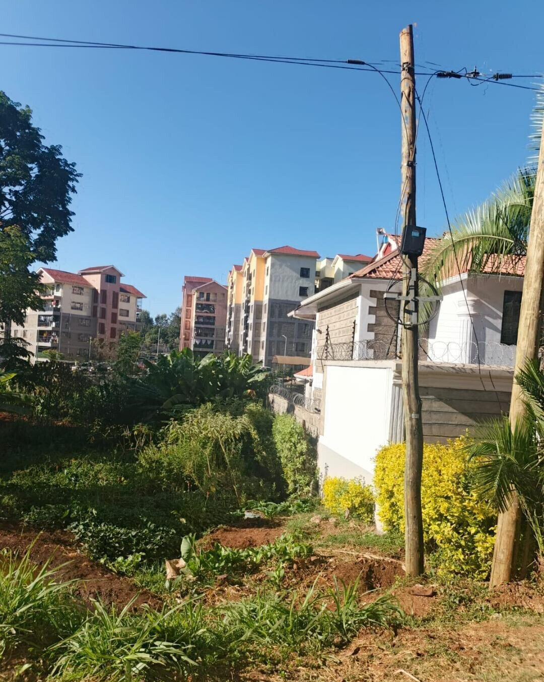 10.8-Acre Commercial Plot with Garden - Kiambu