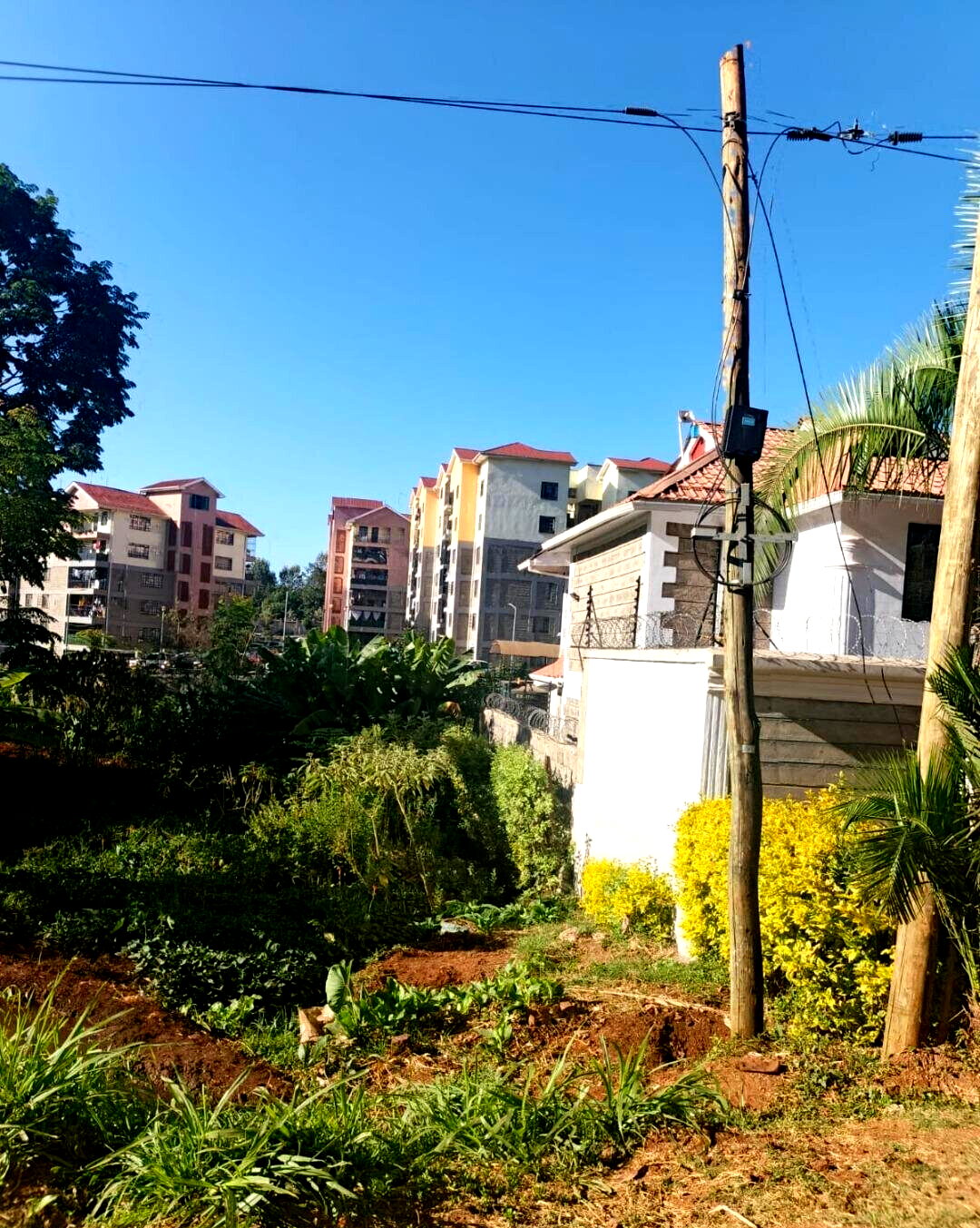 10.8-Acre Commercial Plot with Garden - Kiambu