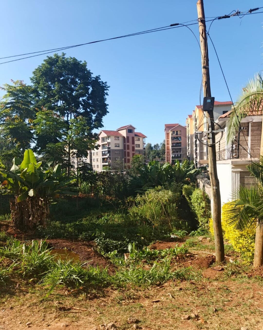 10.8-Acre Commercial Plot with Garden - Kiambu