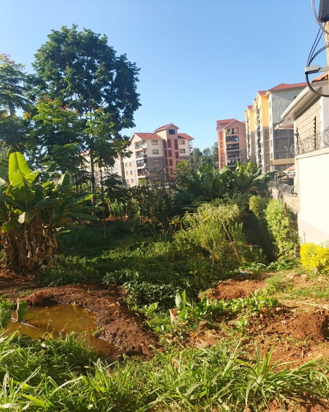 10.8-Acre Commercial Plot with Garden - Kiambu