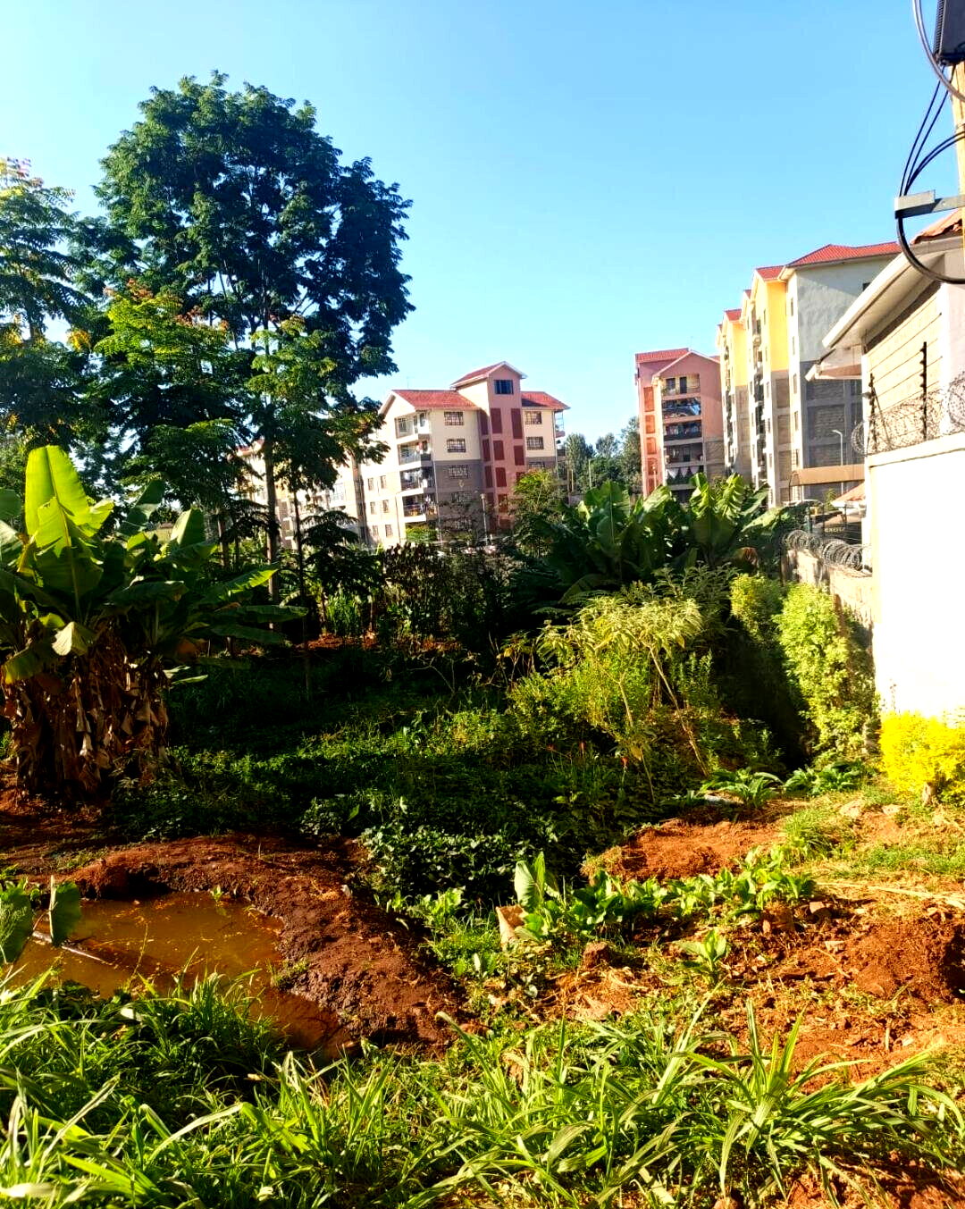 10.8-Acre Commercial Plot with Garden - Kiambu