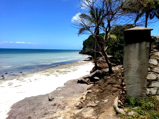 Shimoni 0.13ha 0.2 Beach Front Plots for Sale