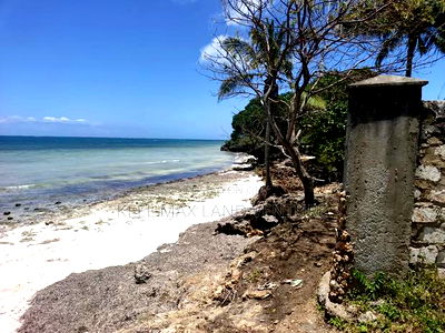 Shimoni 0.13ha 0.2 Beach Front Plots for Sale - Image 4